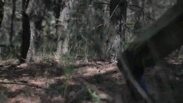 Радянські підривних загін runing через ліс Другої світової війни. Реконструкції бою" — стокове відео