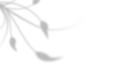 Beyaz duvarda soyut gri çiçek gölgesi var. Fotoğraf veya maket kalitesinde ışık gösterimi için