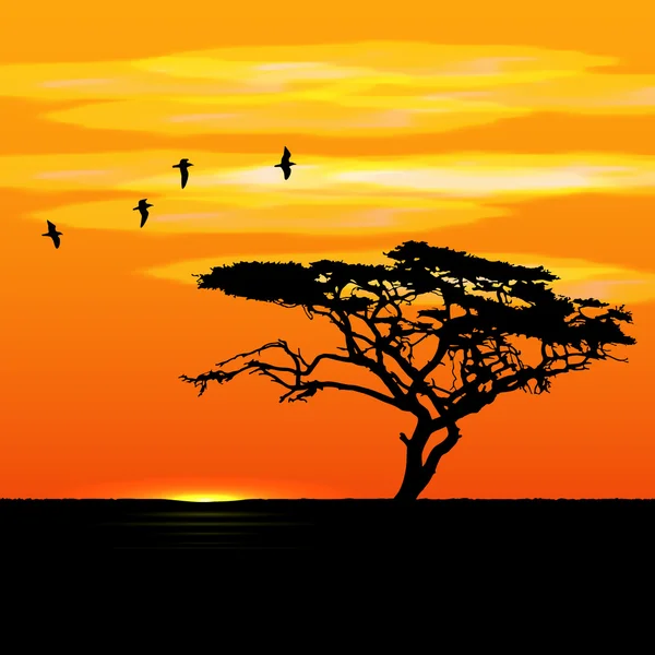 Sunset tree and birds silhouettes — Stock Vector