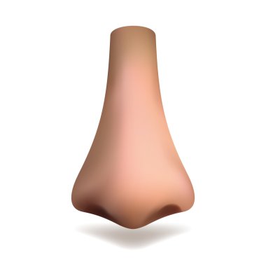 Beyaz arka plan üzerinde gerçekçi vektör burun