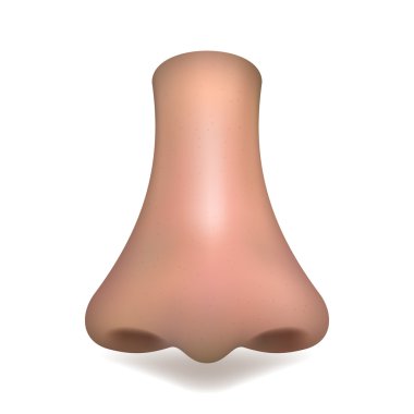 Beyaz arka plan üzerinde gerçekçi vektör burun