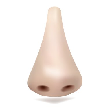 Beyaz arka plan üzerinde gerçekçi vektör burun