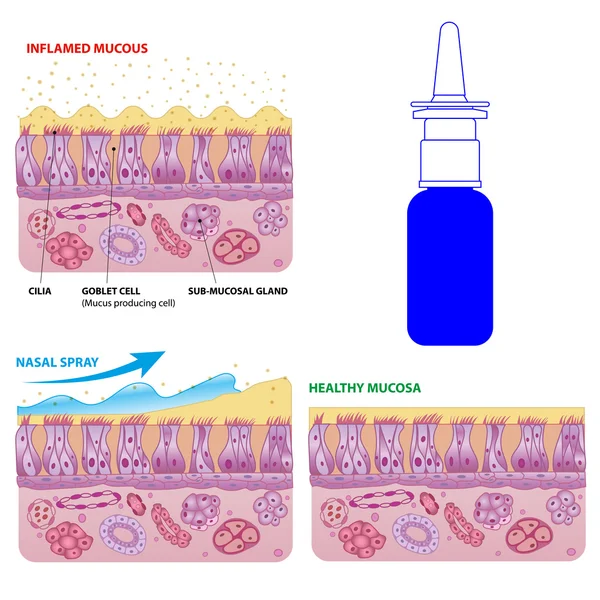 Nasale mucosacellen en microcilia vector schema — Stockvector