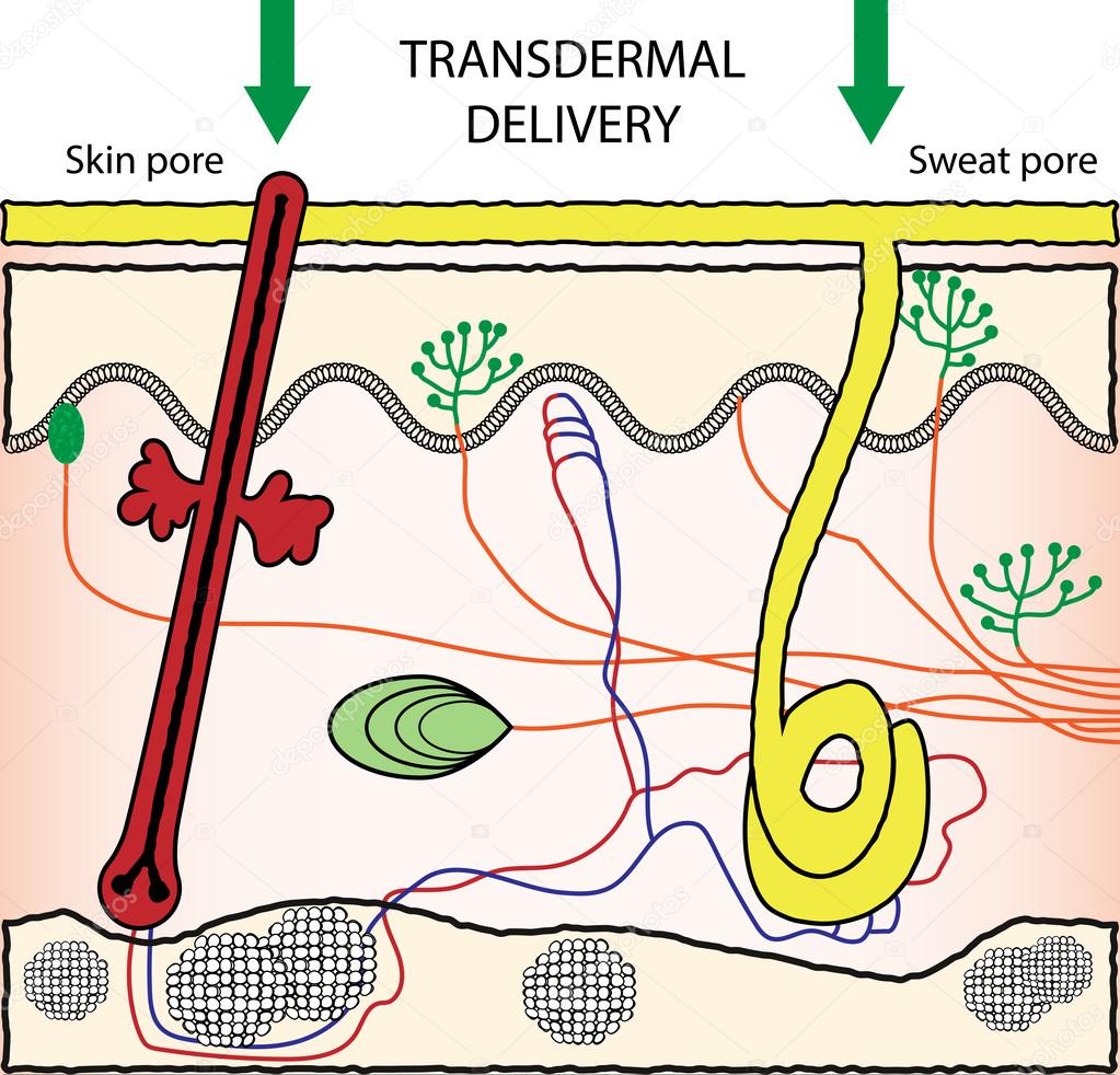 Transdermal drugs delivery system