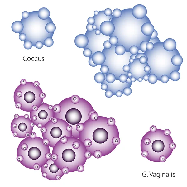 Bacteriën vector illustratie — Stockvector