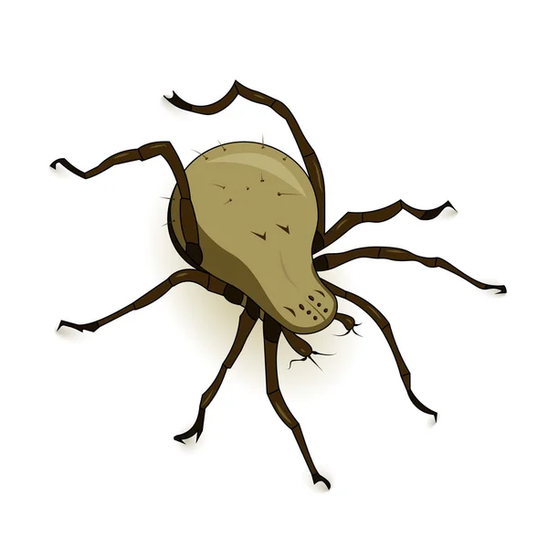 Vector Dust Mite Parazit — Vector de stoc