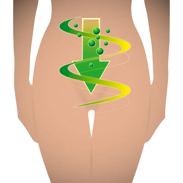 Woman silhouette good digestion — Stock Illustration Woman silhouette good digestion Stock Vector