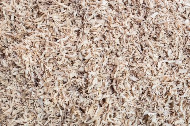 Arka plan, doku için ahşap talaş yığını