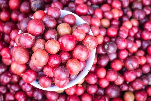 Lokale Thaise bos bessen fruit in Chiang Mai markt — Stockfoto