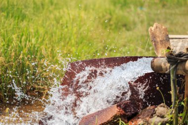 Pirinç alan orta Tay tüpte büyük pompa su akışı