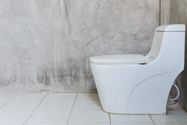 White toilet bowl near the wall in bathroom — Stock Photo, Image