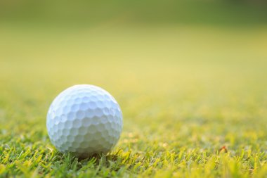 Yeşil çim sahası Golf topu