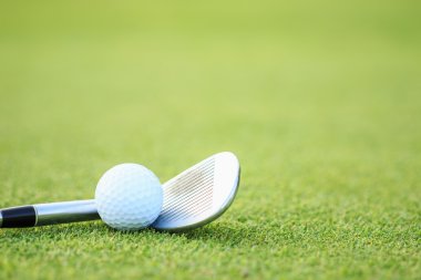 Yeşil çim sahası Golf topu