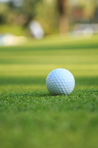 Bola de golfe na grama verde no curso — Fotografia de Stock