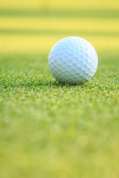 Bola de golfe na grama verde no curso — Fotografia de Stock