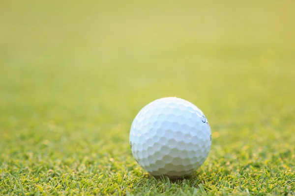 Bola de golfe na grama verde no curso — Fotografia de Stock