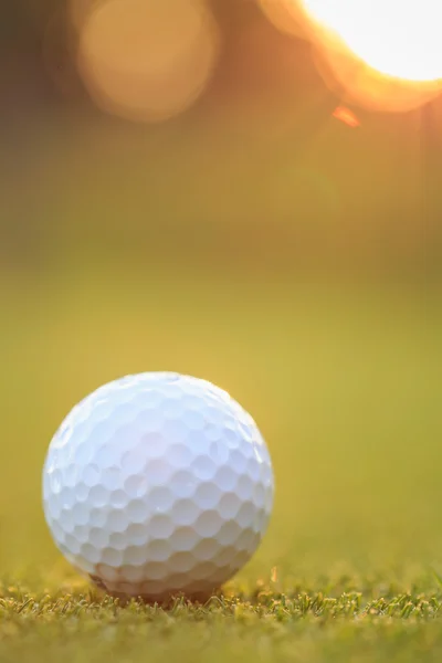 Golfbal op groen gras in cursus — Stockfoto