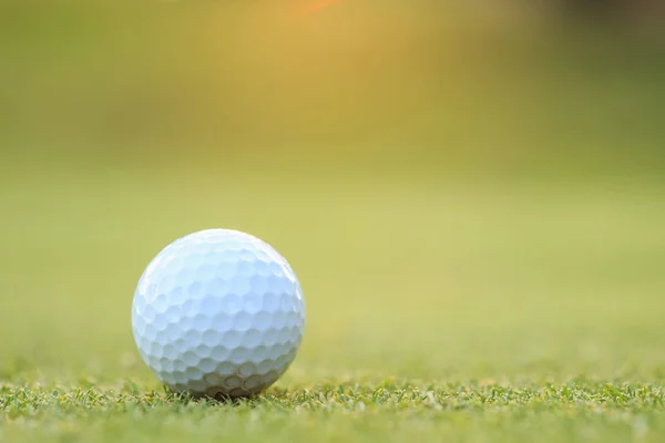 Golfbal op groen gras in cursus — Stockfoto