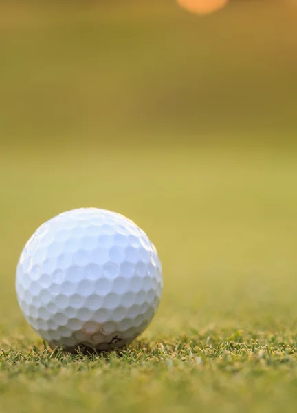 Bola de golfe na grama verde no curso — Fotografia de Stock