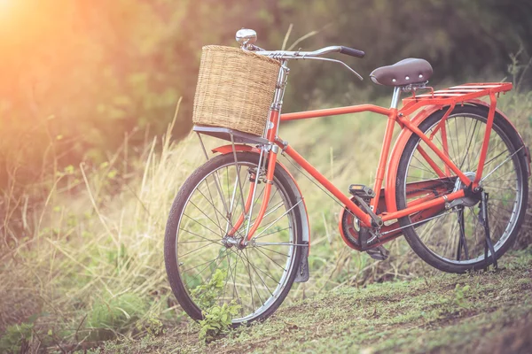 オーシャン ビューで赤日本スタイルのクラシック自転車のポイントします。 — ストック写真