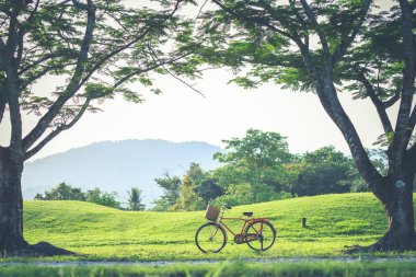 Kırmızı Japonya tarzı klasik Bisiklet Parkı