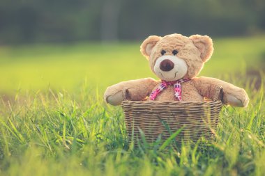 Rattan sepet len ile yeşil alan üzerinde güzel kahverengi ayıcık