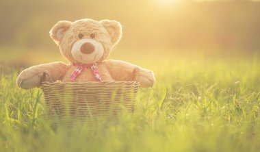 Rattan sepet len ile yeşil alan üzerinde güzel kahverengi ayıcık