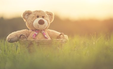 Rattan sepet len ile yeşil alan üzerinde güzel kahverengi ayıcık