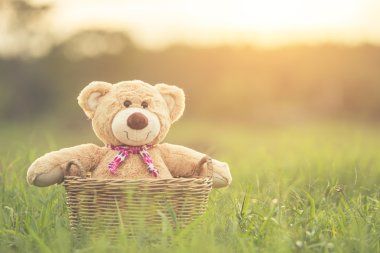 Rattan sepet len ile yeşil alan üzerinde güzel kahverengi ayıcık