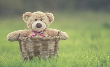 Rattan sepet len ile yeşil alan üzerinde güzel kahverengi ayıcık