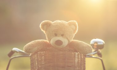 Rattan sepet içinde kırmızı vintage Bisiklet güzel kahverengi ayıcık 