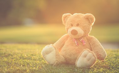 Güzel kahverengi lens ile çim sahada oturan ayıcık flare. 