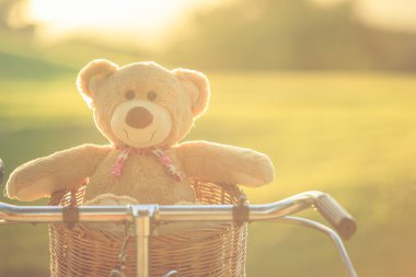 Rattan sepet gree vintage bisiklet üzerinde güzel kahverengi ayıcık