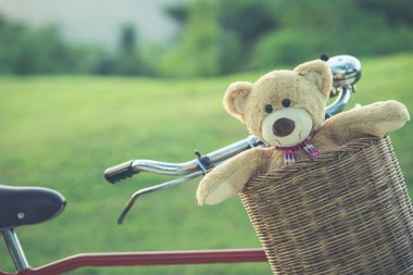 Rattan sepet gree vintage bisiklet üzerinde güzel kahverengi ayıcık