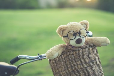 Rattan sepet gree vintage bisiklet üzerinde güzel kahverengi ayıcık