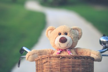 Rattan sepet gree vintage bisiklet üzerinde güzel kahverengi ayıcık