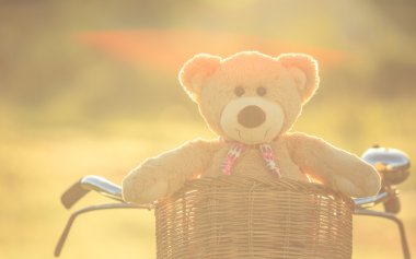 Rattan sepet gree vintage bisiklet üzerinde güzel kahverengi ayıcık