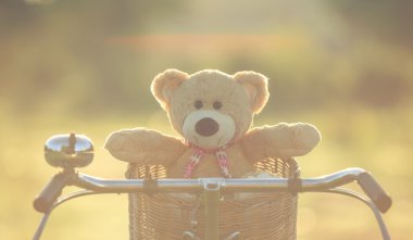 Rattan sepet gree vintage bisiklet üzerinde güzel kahverengi ayıcık