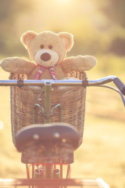 Rattan sepet gree vintage bisiklet üzerinde güzel kahverengi ayıcık