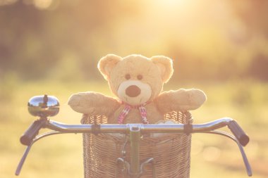 Rattan sepet gree vintage bisiklet üzerinde güzel kahverengi ayıcık