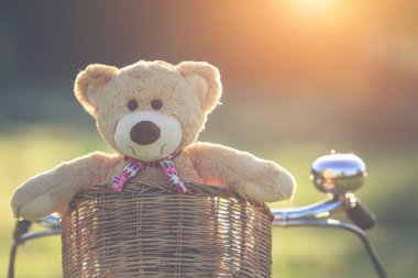 Rattan sepet gree vintage bisiklet üzerinde güzel kahverengi ayıcık