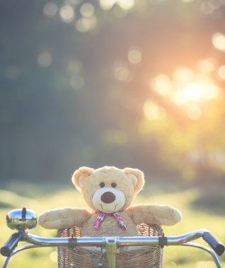 Rattan sepet gree vintage bisiklet üzerinde güzel kahverengi ayıcık