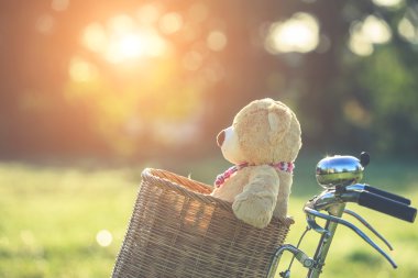 Rattan sepet gree vintage bisiklet üzerinde güzel kahverengi ayıcık