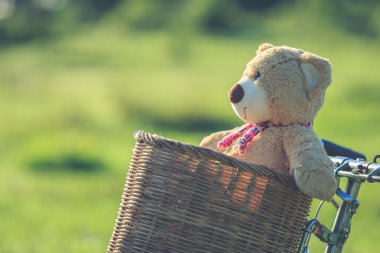 Rattan sepet gree vintage bisiklet üzerinde güzel kahverengi ayıcık