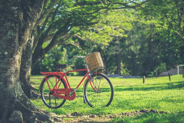 Bicicleta clássica estilo Red Japan no parque — Fotografia de Stock