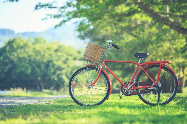 Czerwony Japonia styl klasyczny rower w parku — Zdjęcie stockowe