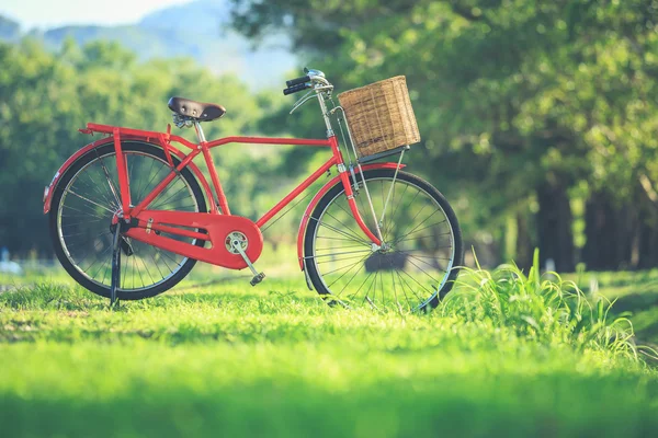 Rotes klassisches Fahrrad im japanischen Stil im Park — Stockfoto