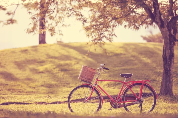 Vélo classique de style japonais rouge au parc — Photo