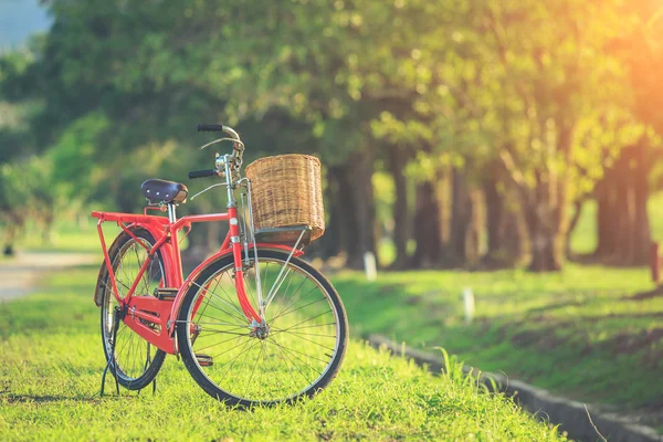 Bicicleta clássica estilo Red Japan no parque — Fotografia de Stock