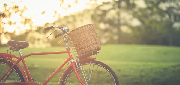 Rotes klassisches Fahrrad im japanischen Stil im Park — Stockfoto